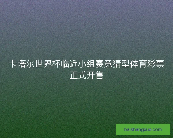 卡塔尔世界杯临近小组赛竞猜型体育彩票正式开售